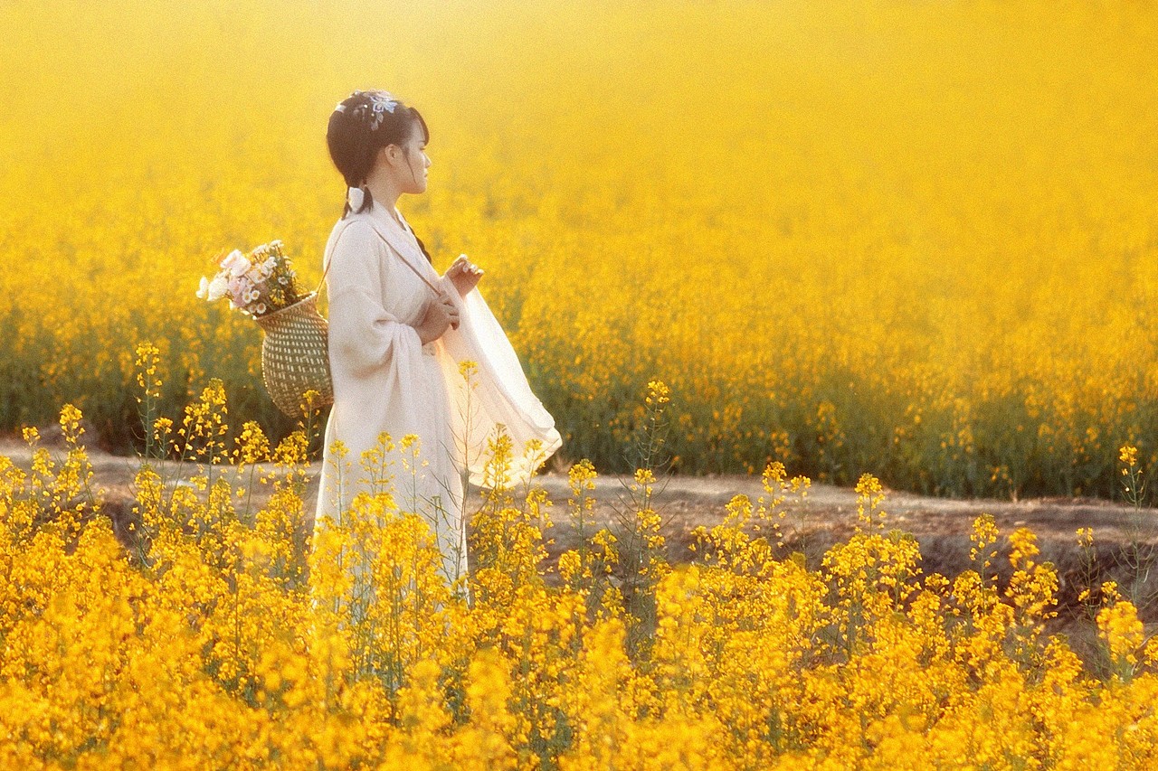 油菜花汉服写真