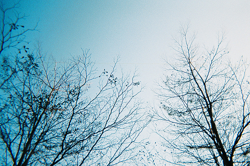 There Goes My Film - 胶片摄影半年总结（图ZMTQ4Nzg2NzY=） - 其他摄影 - 站酷设计师AlexNin原创素材 - 站酷ZCOOL