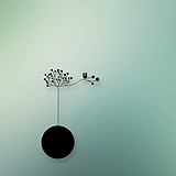 i郑茹的头像