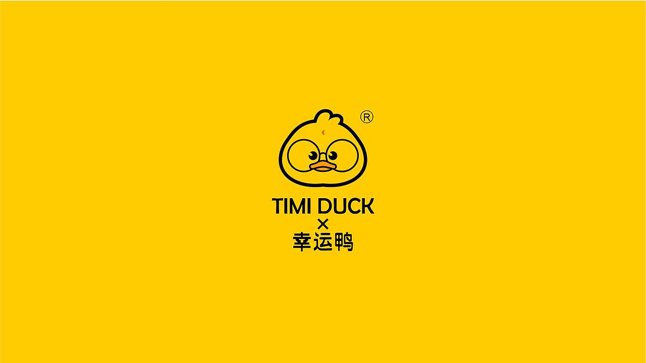 IP设计——timi duck