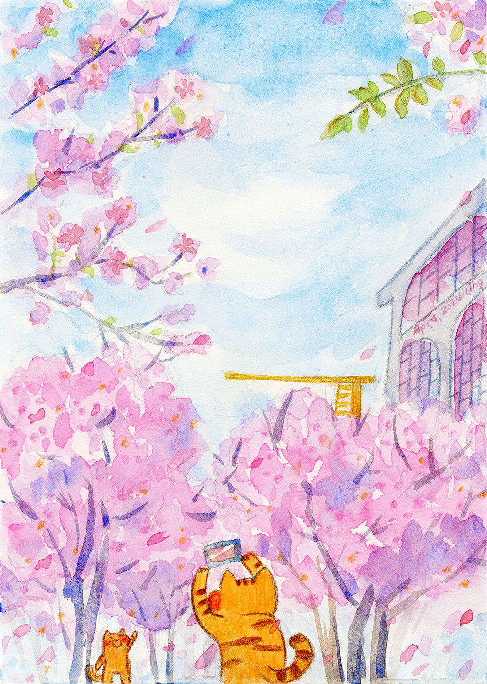 西岸龙美术馆前的樱花树~🌸