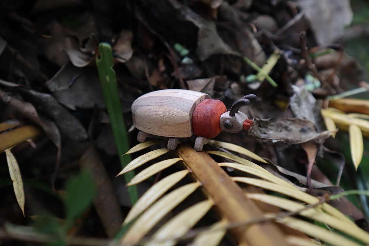 消失的昆虫们 Moil's handmade