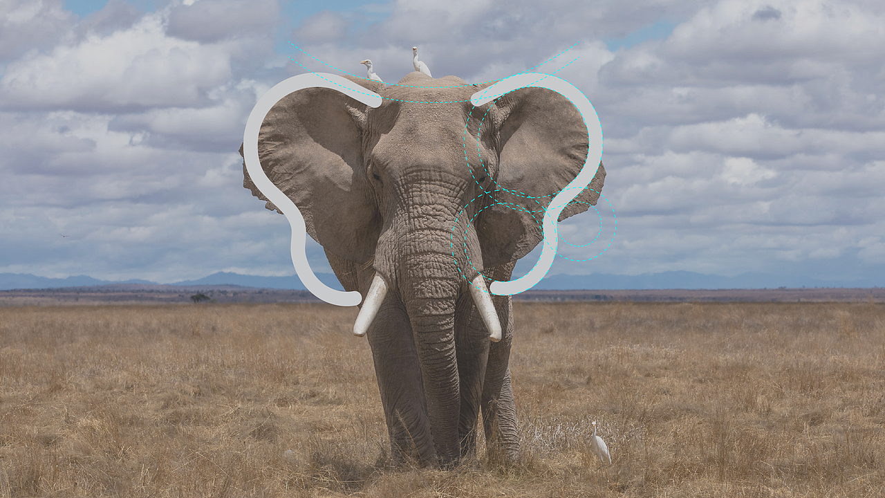 品牌升级 | 全进口母婴品牌"Kiummy可优美"（图ZMTY1MjE5NjM2） - 品牌 - 站酷设计师ZZBD持续进化原创素材 - 站酷ZCOOL