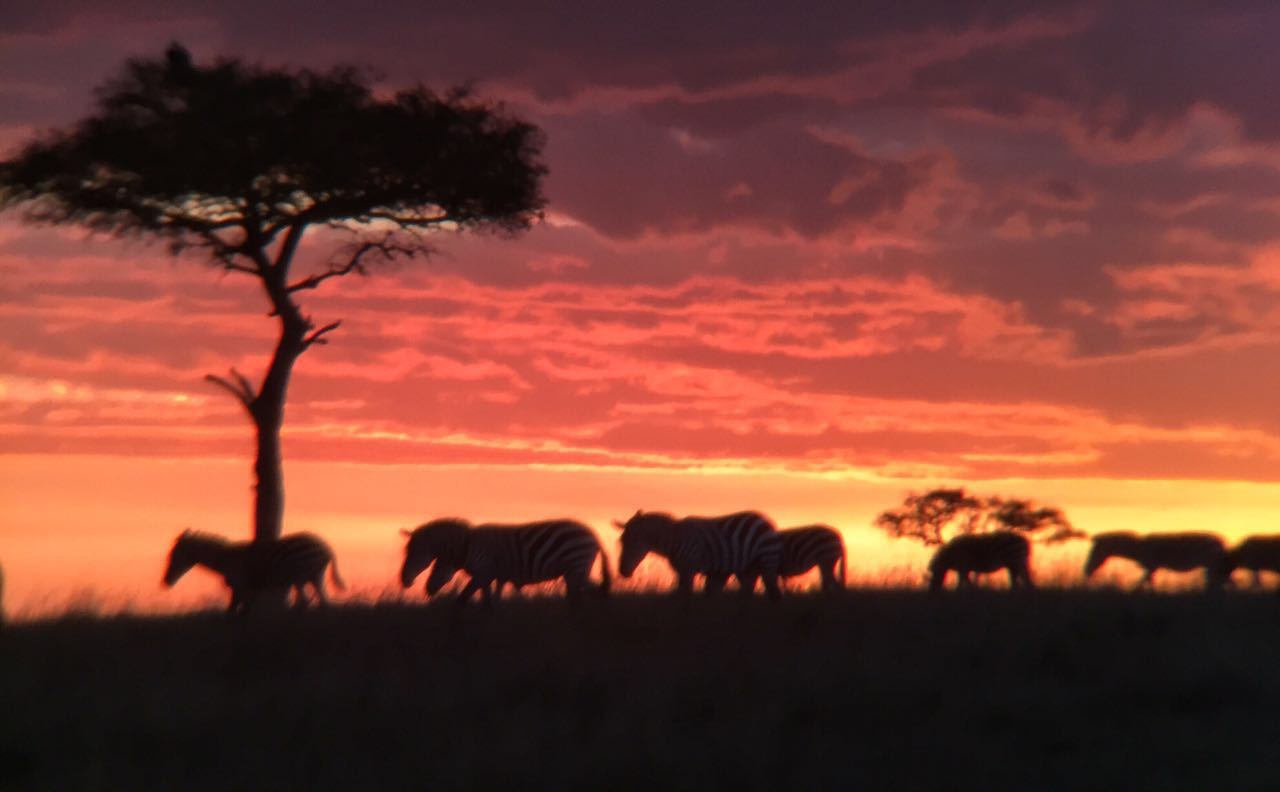 非洲高山草原景观高清图片下载-正版图片501253268-摄图网