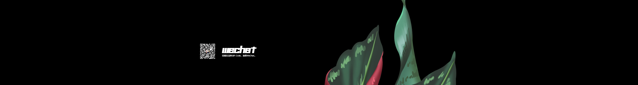 爱吃饼干的卡夫的个人主页（封面预览） - 主页封面设置 - 站酷设计师爱吃饼干的卡夫原创素材 - 站酷ZCOOL