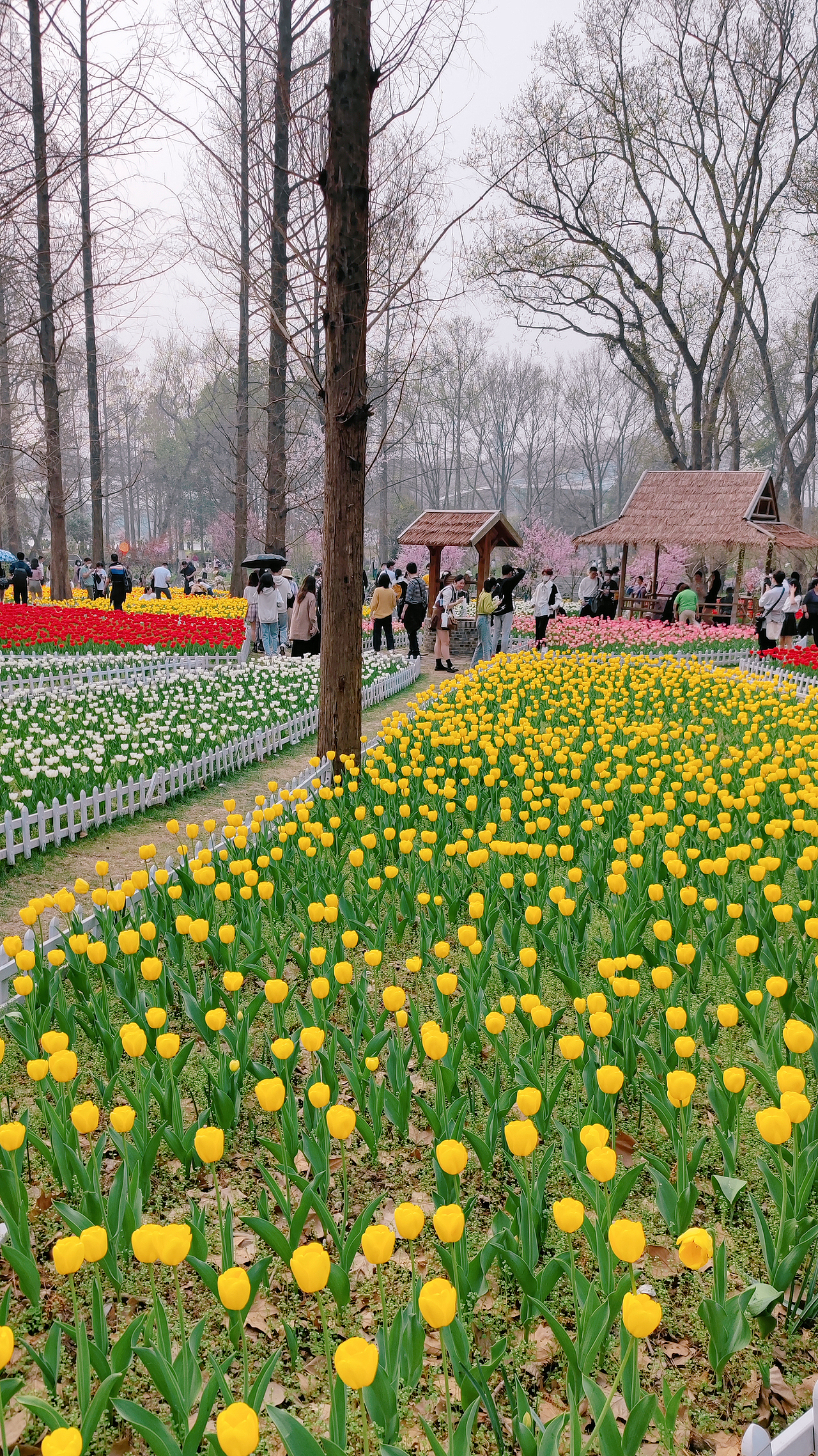 希望我们都能在春光里快乐（图ZMjkyNTU0OTk2） - 风光摄影 - 站酷设计师一大口黑锅原创素材 - 站酷ZCOOL