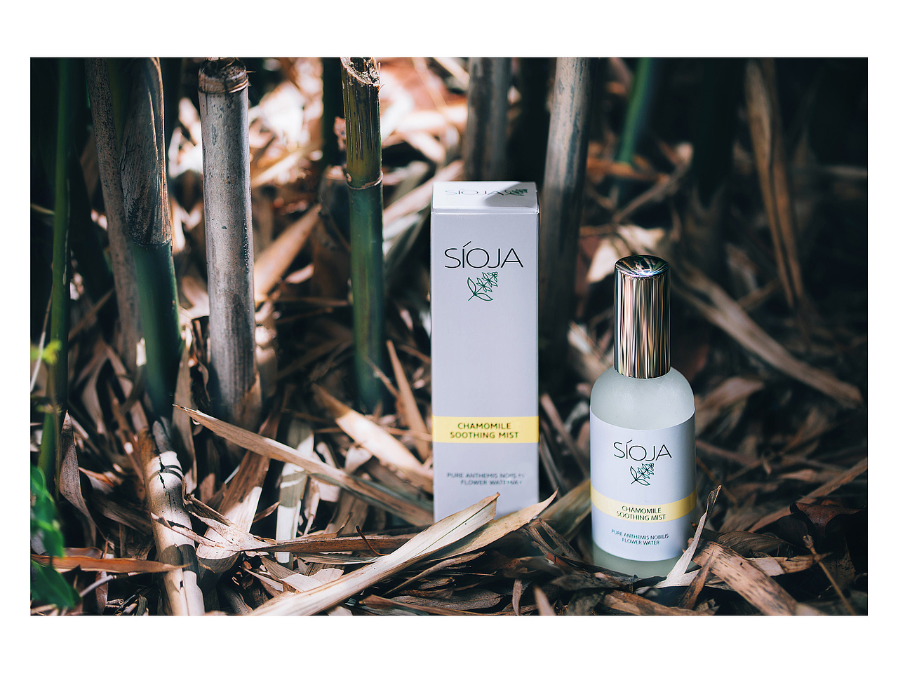 化妆品 户外拍摄