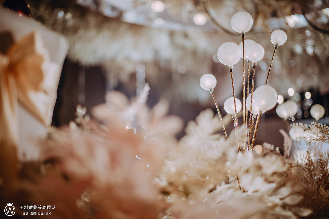 香槟色婚礼 — Le Roy Soleil