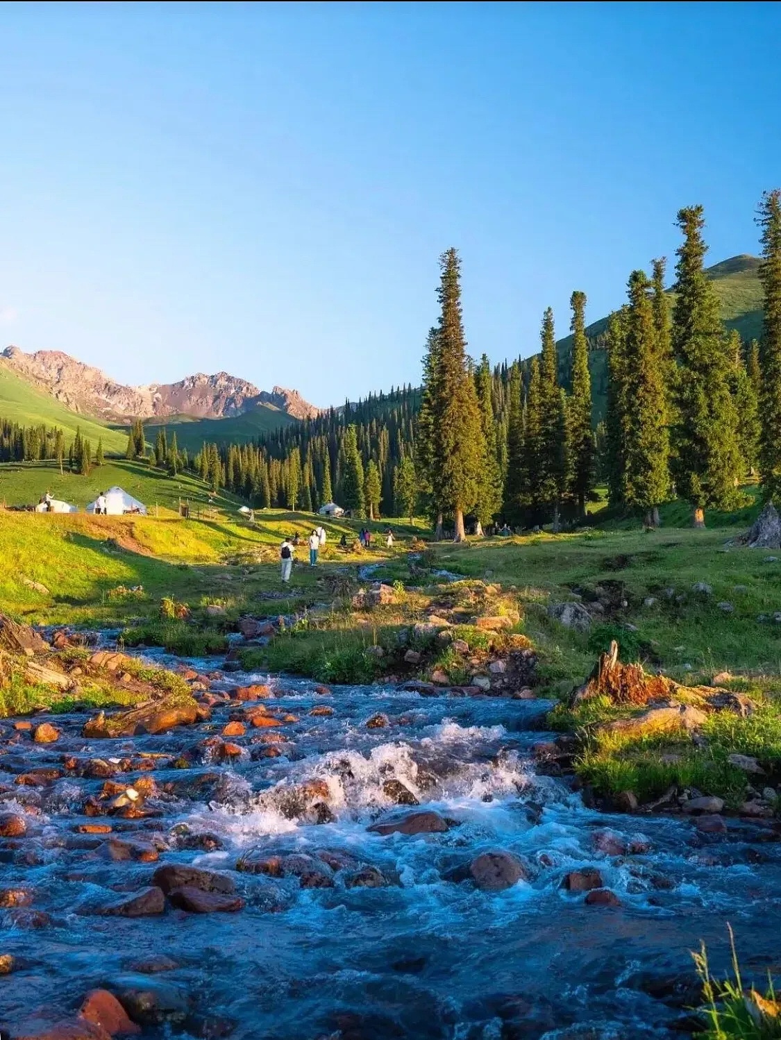 山川湖海,日出日落,都是大自然的馈赠;三五好友,人