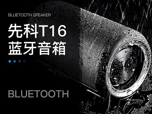 先科T16详情页总结分享