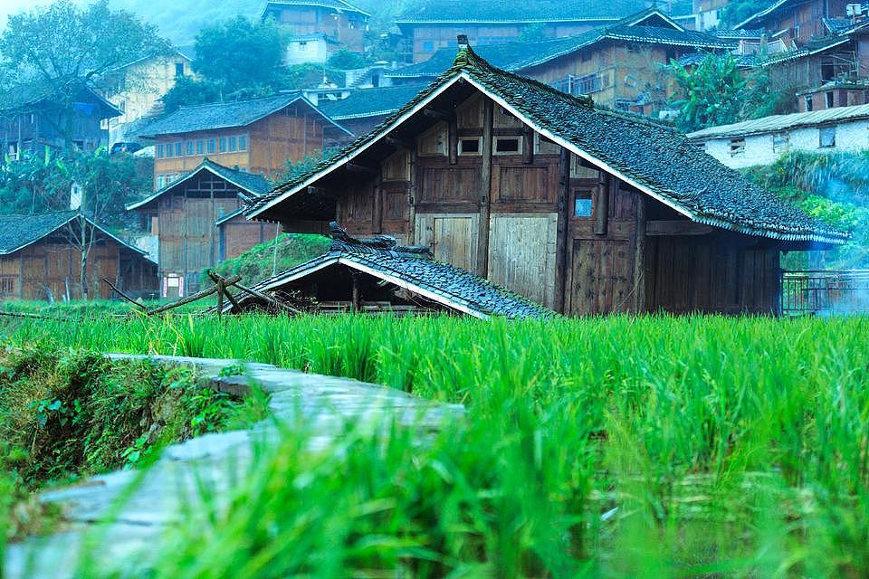 有一座与世无争的小村庄,叫白岩村