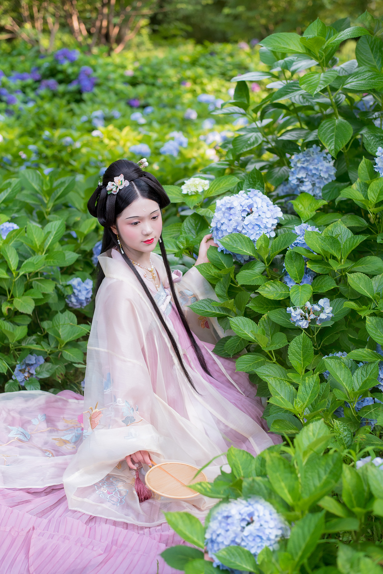 客\绣球花（图ZMTY2NjkxNTQ0） - 人像摄影 - 站酷设计师荮桑不是药桑原创素材 - 站酷ZCOOL