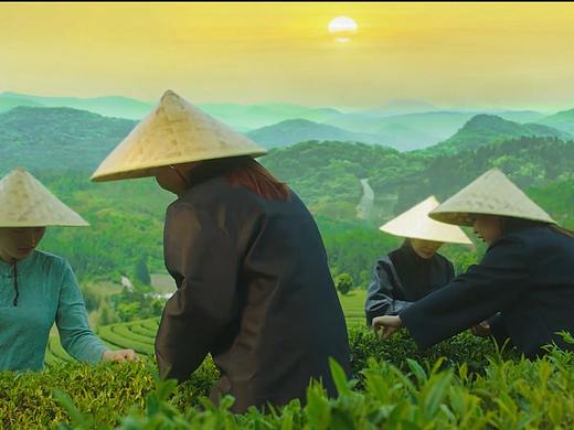 本村名物 银耳粥TVC