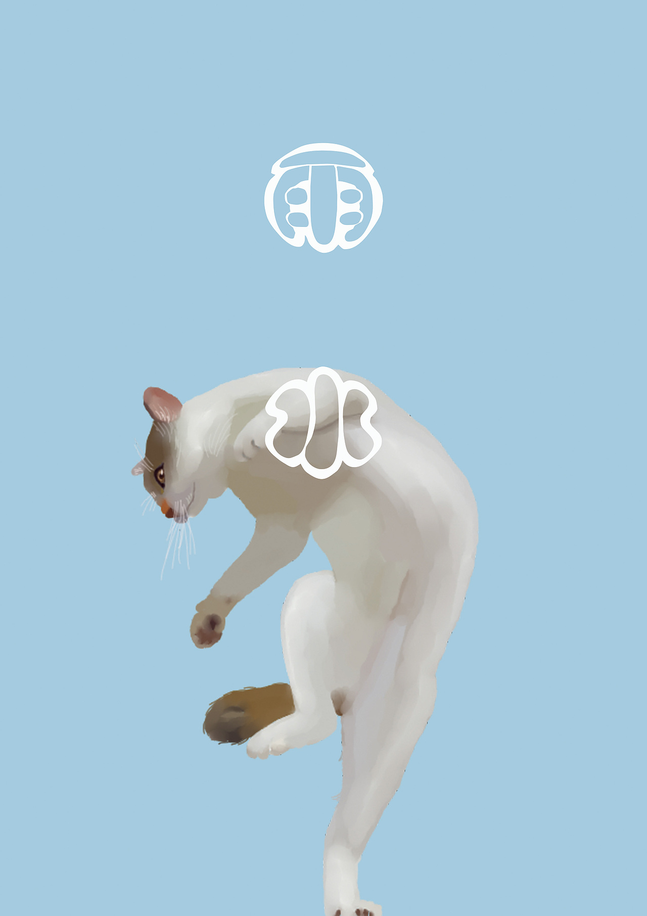 猫咪24节气插画