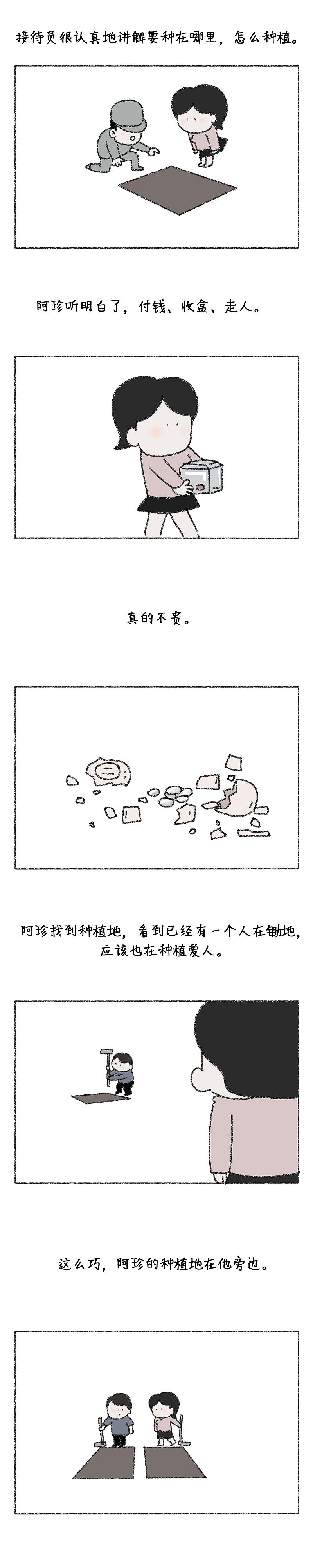 种子——后续故事(温情结局)