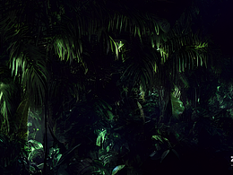 #AI創(chuàng)作實驗室#微光世界，熱帶雨林，植物，細(xì)節(jié)，藝術(shù)