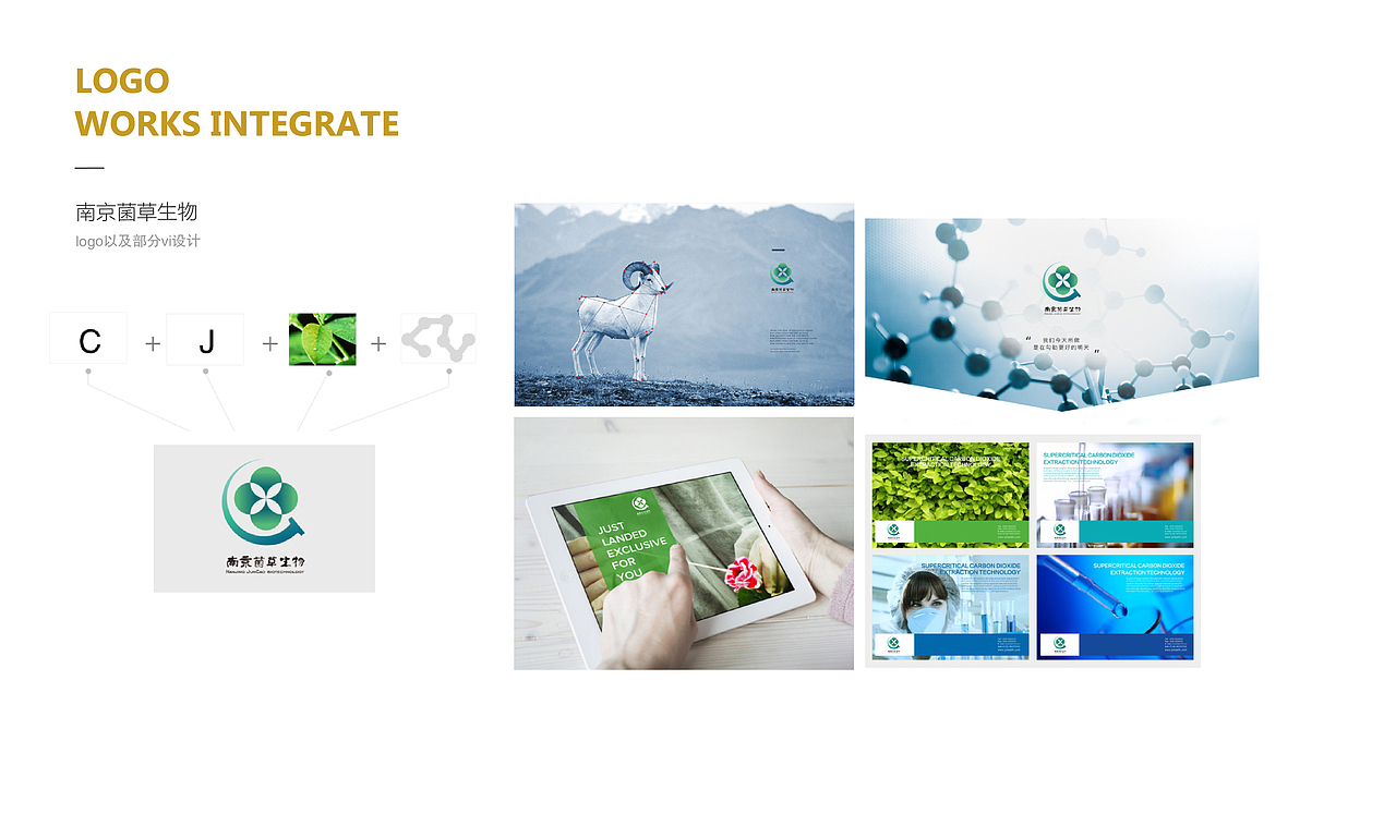 logo作品整合（图ZODQyOTI4NTI=） - 品牌 - 站酷设计师gaolizi原创素材 - 站酷ZCOOL