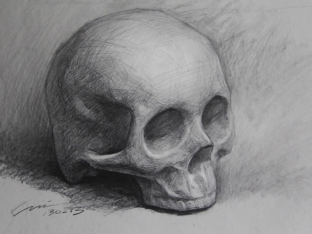 骷髅头石膏模型素描写生