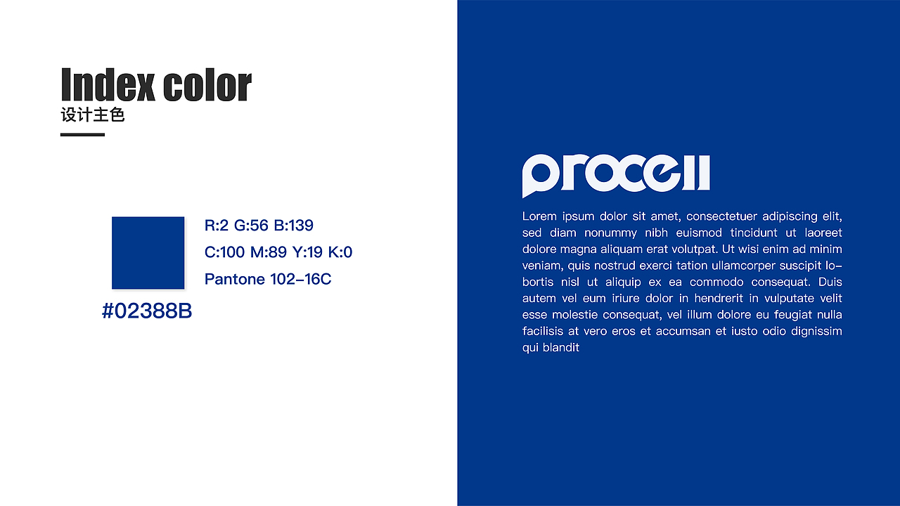 Procell 电池类logo标志设计