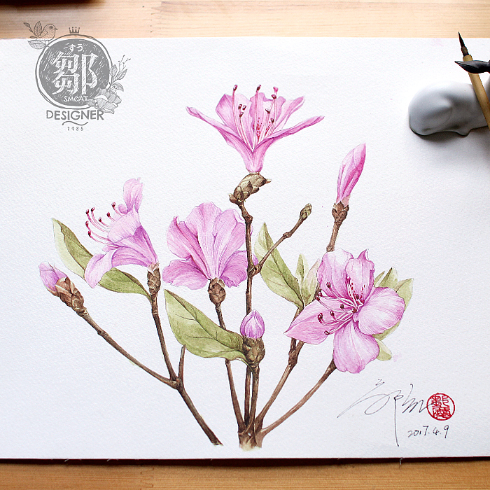 杜鹃花系列——华丽杜鹃（图ZNzc5OTI4NzY=） - 商业插画 - 站酷设计师鄒慶原创素材 - 站酷ZCOOL
