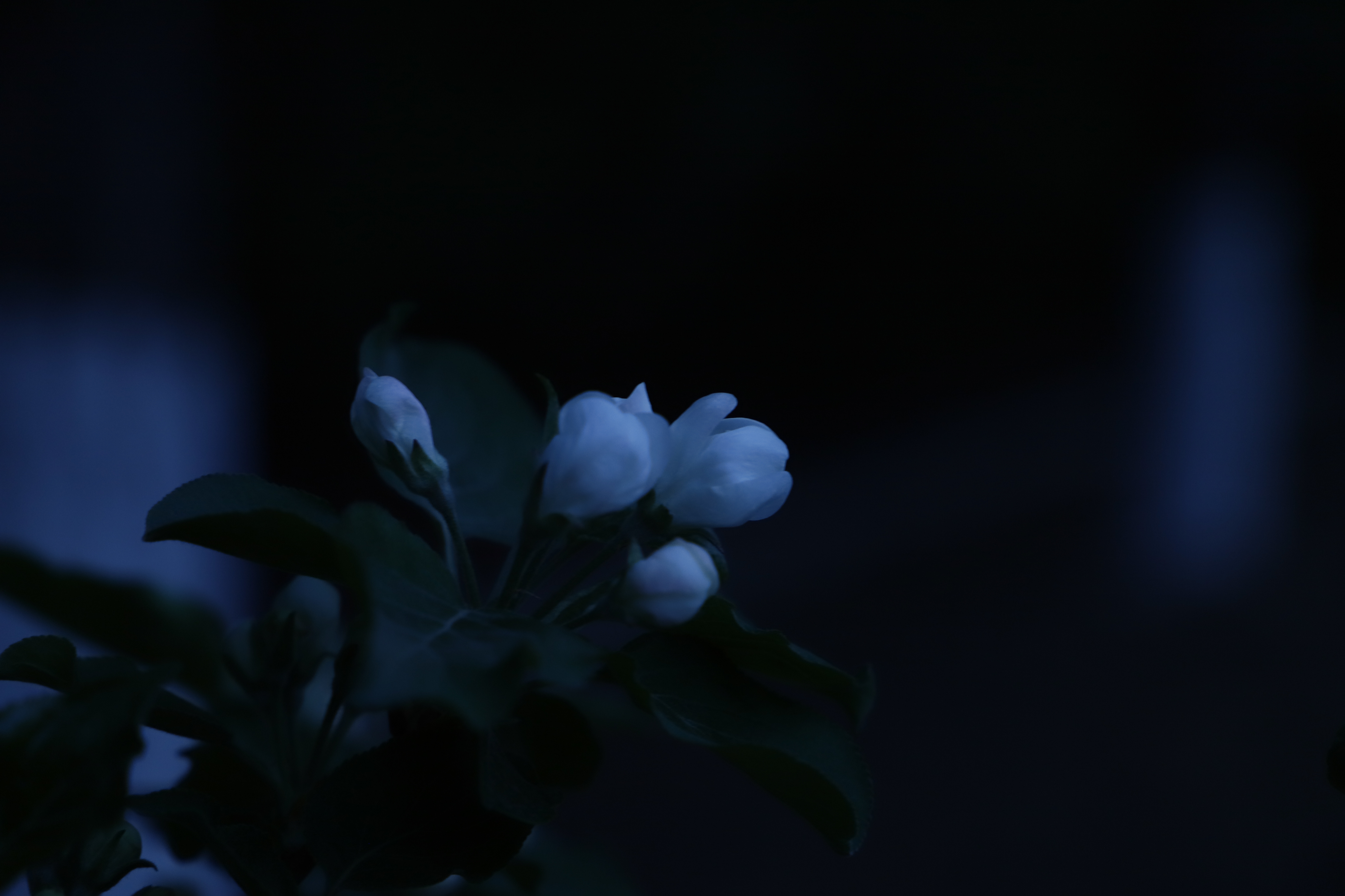 设计师一大秦的个人主页（封面预览） - 主页封面设置 - 站酷设计师设计师一大秦原创素材 - 站酷ZCOOL