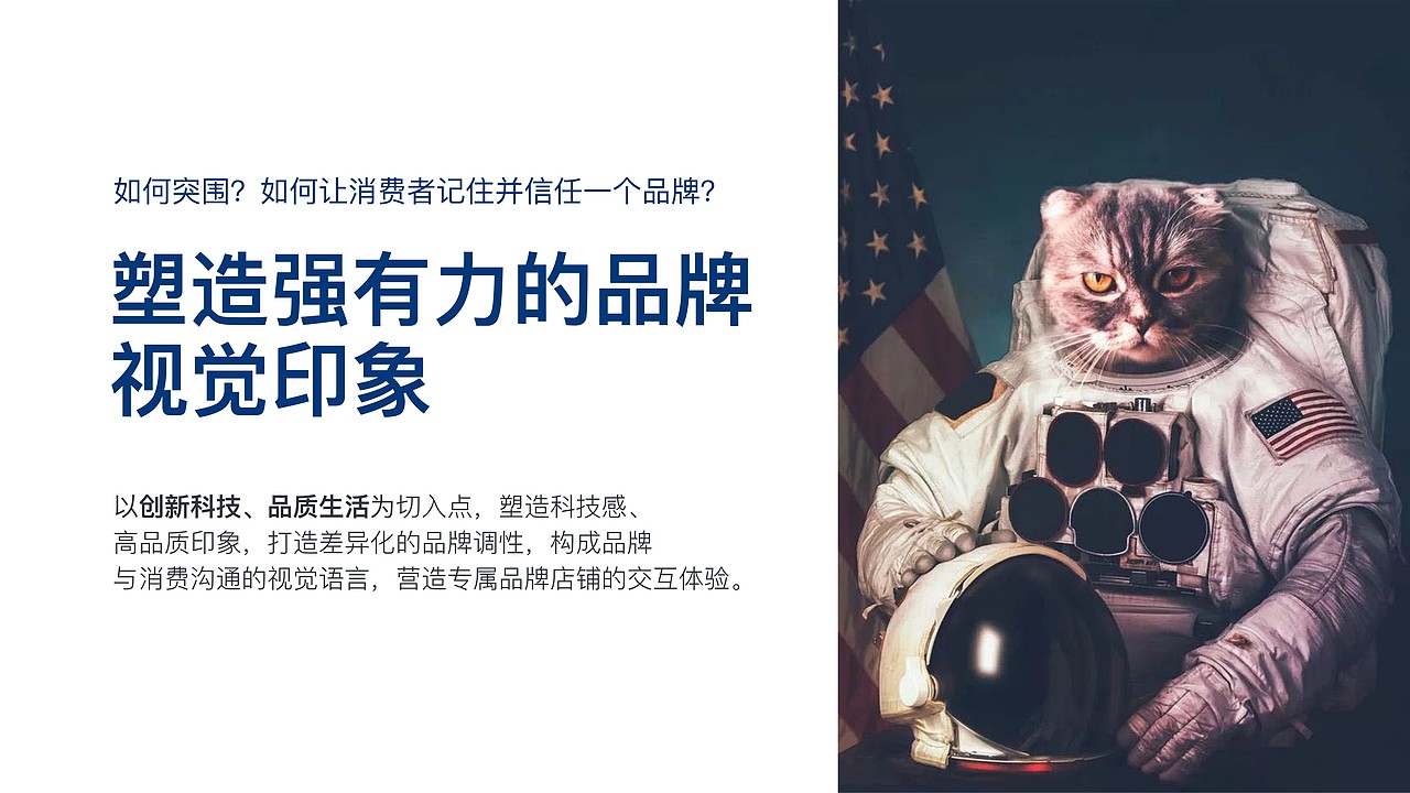 蓝钻猫砂视觉方案猜想（图ZMjc4OTY1MDI0） - 电商 - 站酷设计师下班坐地铁原创素材 - 站酷ZCOOL