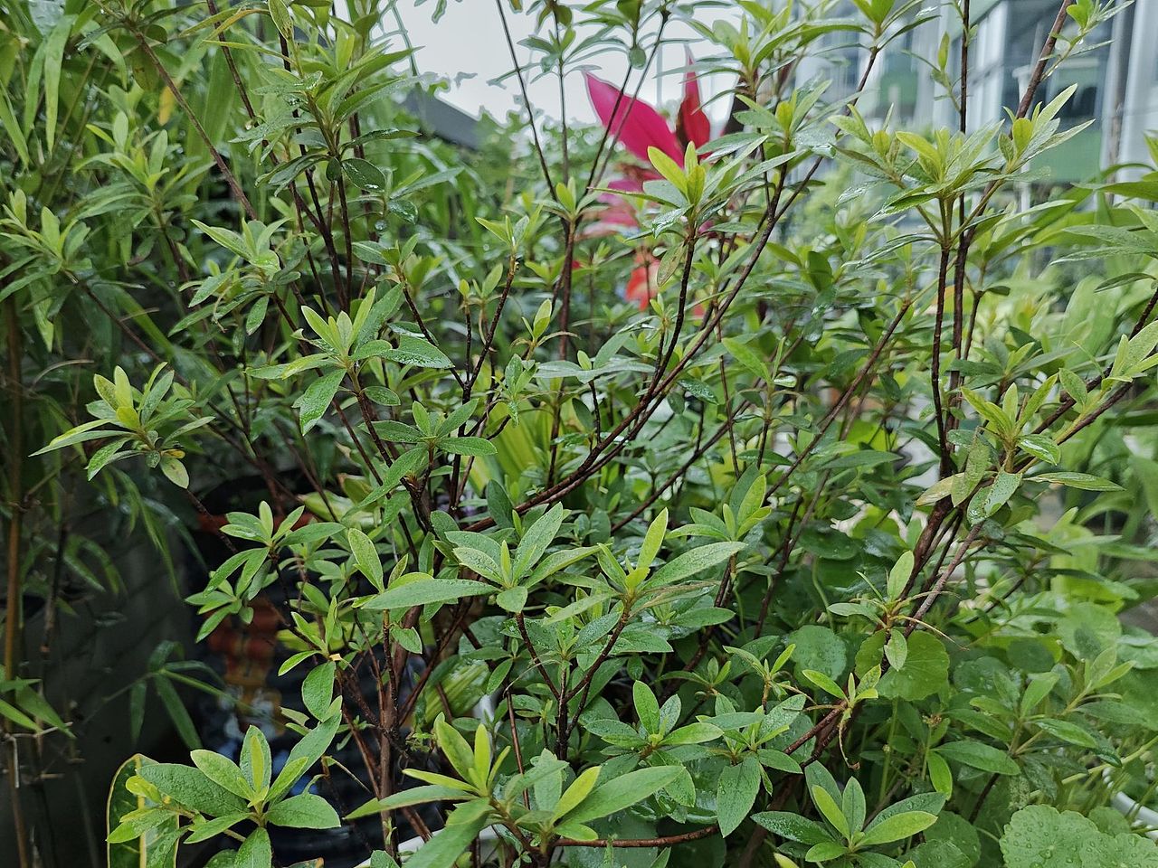 暴雨过后（图ZMzY4MDU0MTYw） - 风光摄影 - 站酷设计师圆真王子原创素材 - 站酷ZCOOL