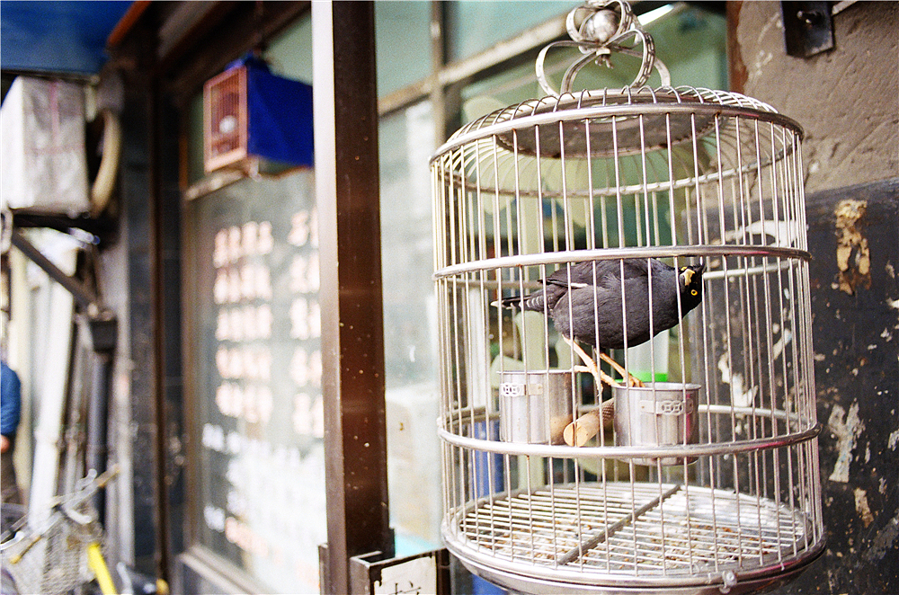 那些旧胶片的味道（图ZNTM4MDExMTY=） - 人像摄影 - 站酷设计师MrLOok原创素材 - 站酷ZCOOL