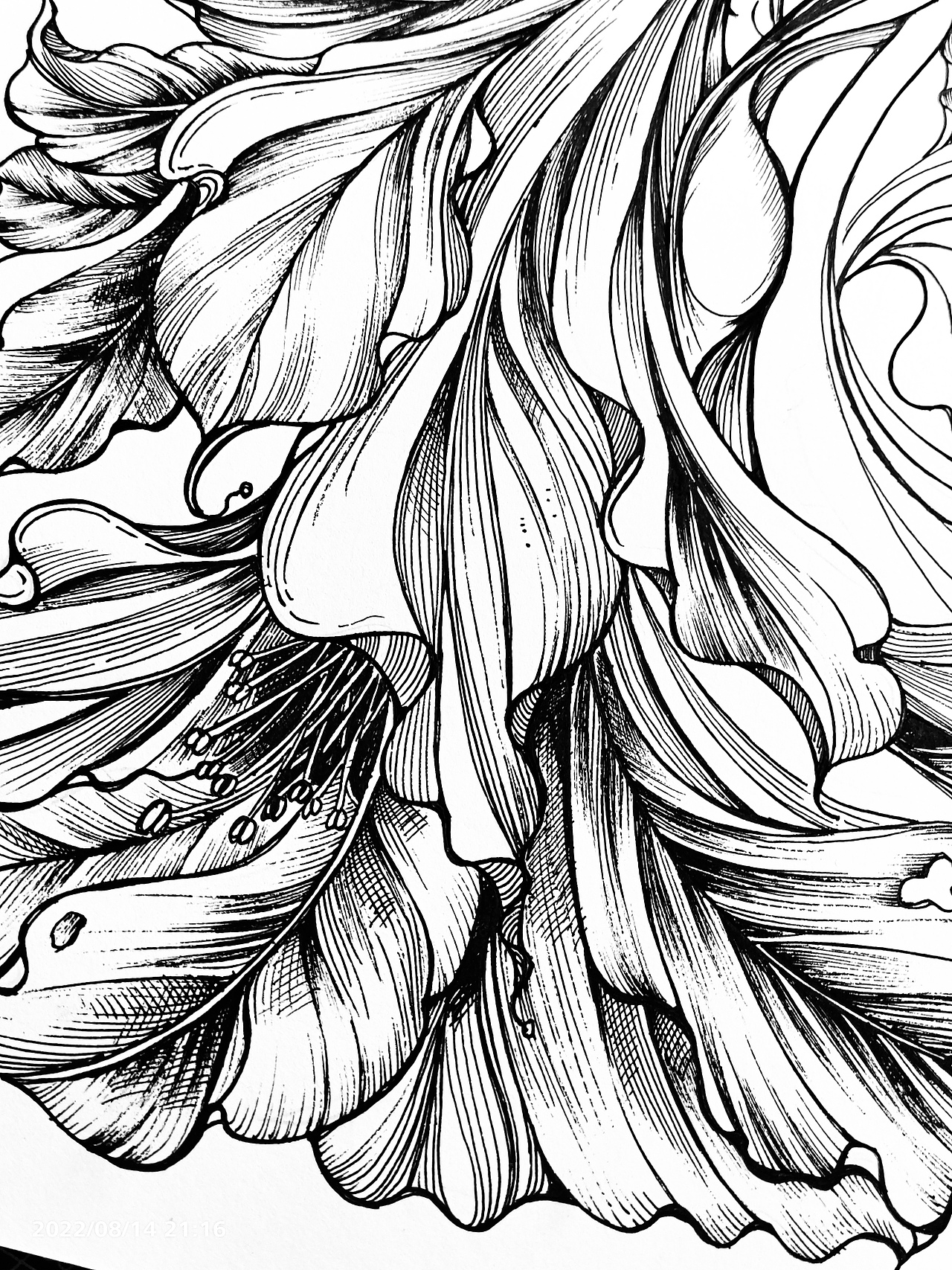 自由行走的花（图ZMzI0ODEzNjU2） - 创作习作 - 站酷设计师Spring漫文画原创素材 - 站酷ZCOOL