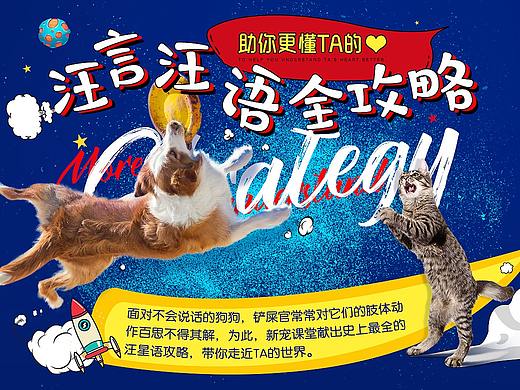 宠物专题页作品集