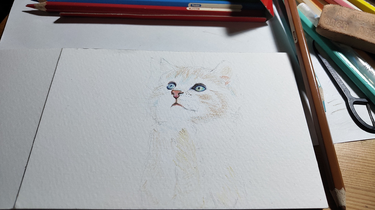 经典猫咪彩铅画