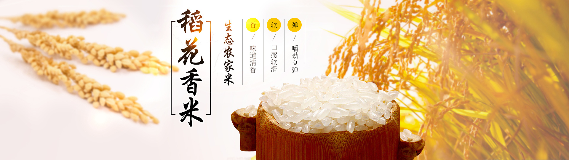 五谷杂粮海报banner 大米海报设计