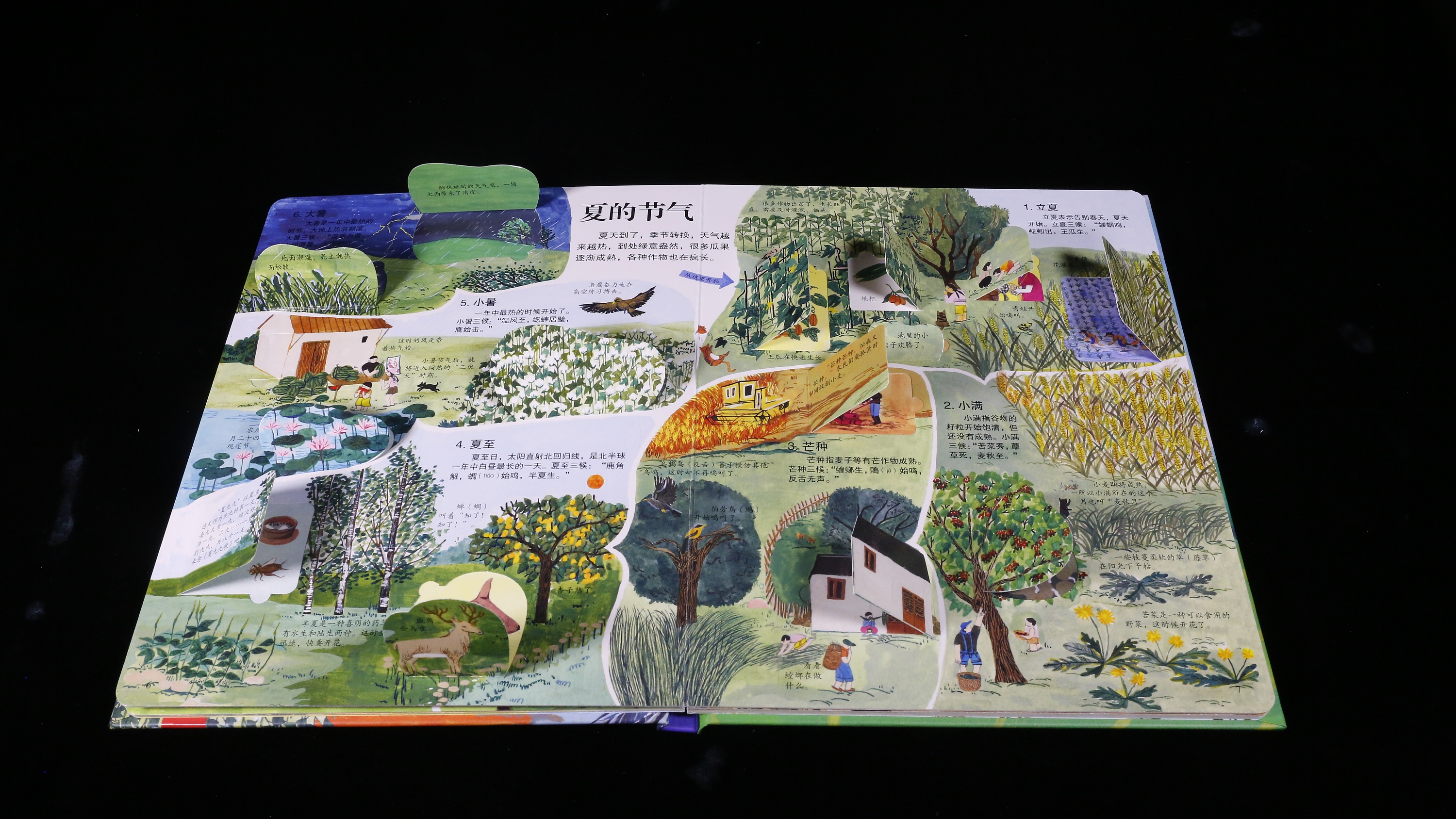 二十四节气|插画|绘本|画画的须臾 - 原创作品 - 站酷 (zcool)