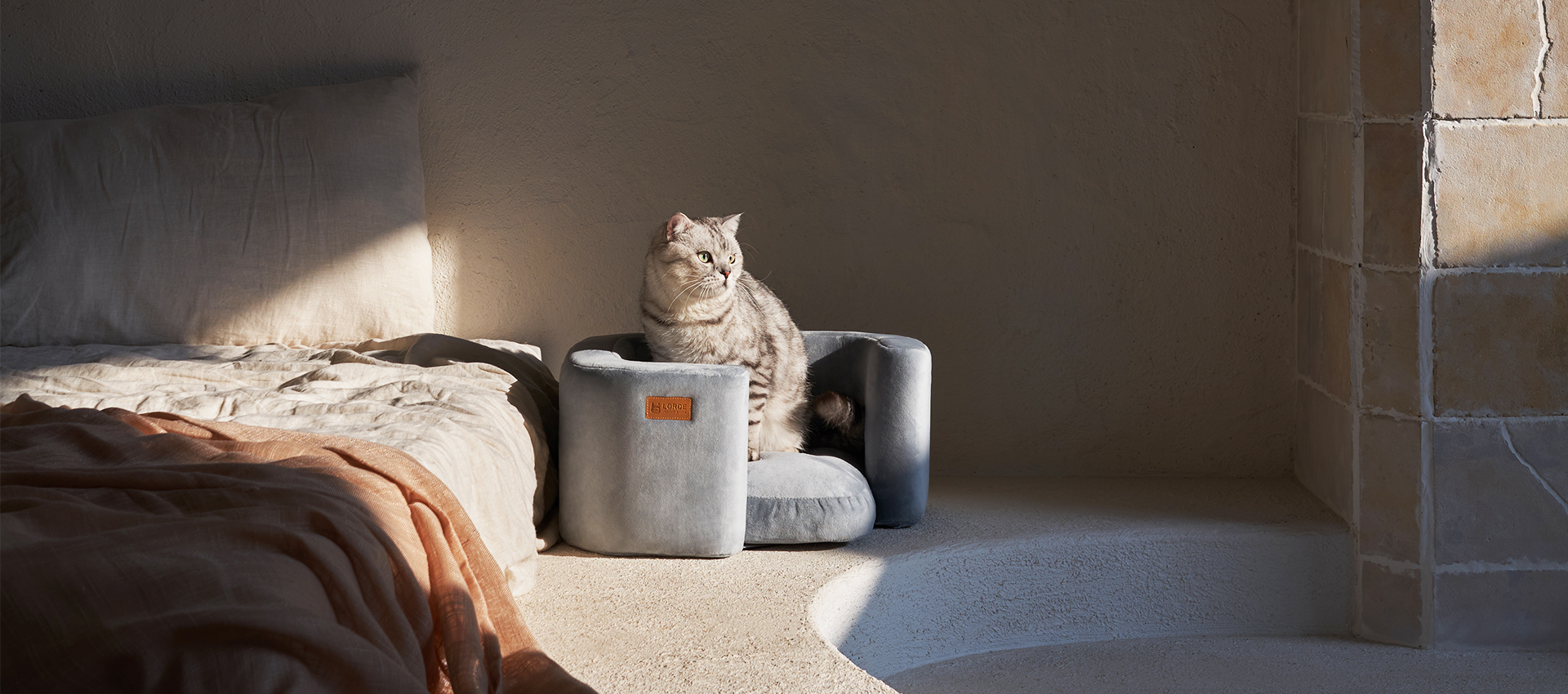 阿阿小的個人主頁（封面預覽） - 主頁封面設置 - 站酷設計師阿阿小原創(chuàng)素材 - 站酷ZCOOL