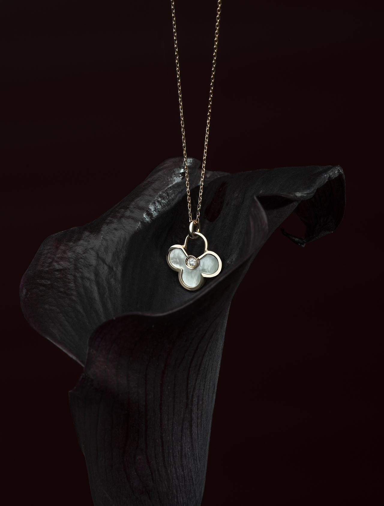 生命之花-守护（图ZMjE2NTIzOTA4） - 产品摄影 - 站酷设计师杭州摄影师Cindy原创素材 - 站酷ZCOOL