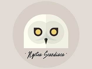 AI绘制猫头鹰（个人主页-ZMzIxNDg1Mjg=） - IP形象 - 站酷设计师二贤原创素材 - 站酷ZCOOL