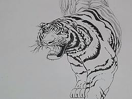 日常白描練習(xí)