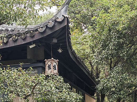 满觉陇寻桂花未果