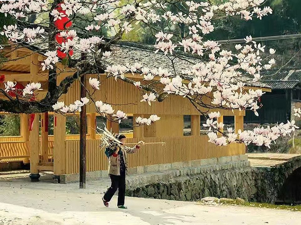 贵阳古建筑设计/古庙道观规划/仿古建筑设计/寺庙道观