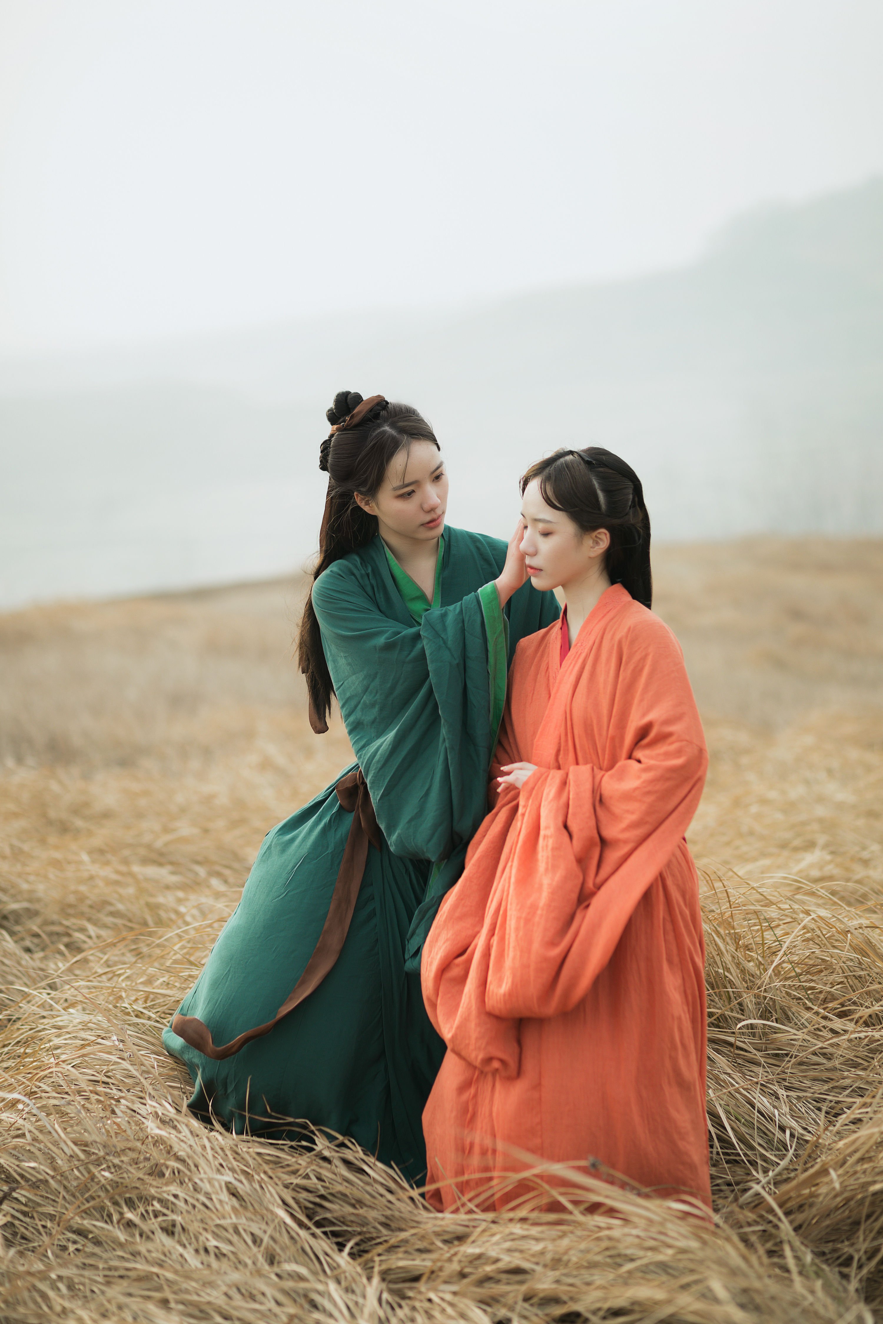 仙人抚我顶,结发受长生