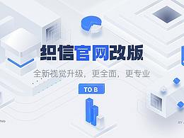 网站