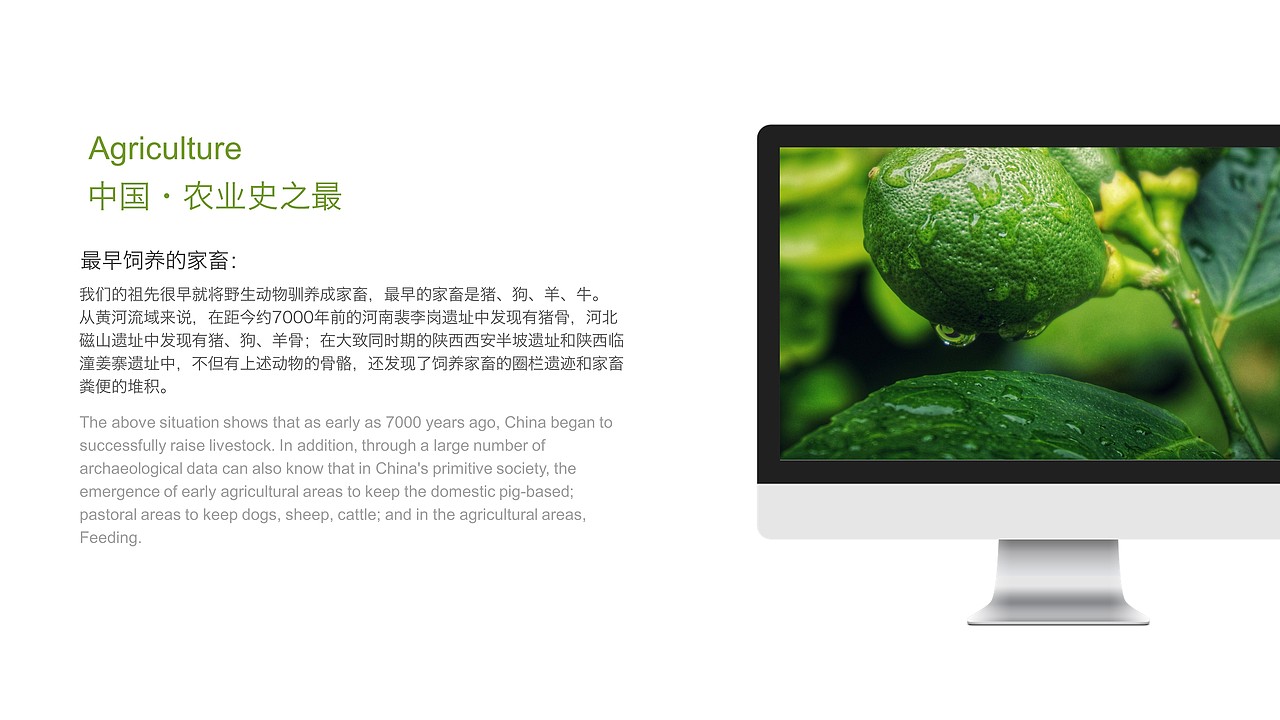 农业类PPT设计（图ZODcyNTEzMjg=） - PPT/Keynote - 站酷设计师不做不休原创素材 - 站酷ZCOOL
