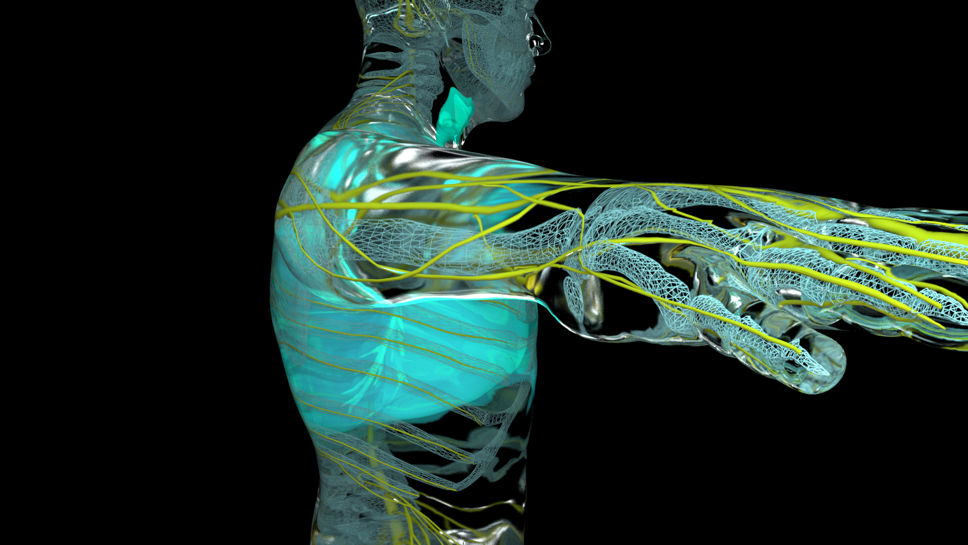 医疗骨骼人体结构图图片素材-正版创意图片400102662-摄图网