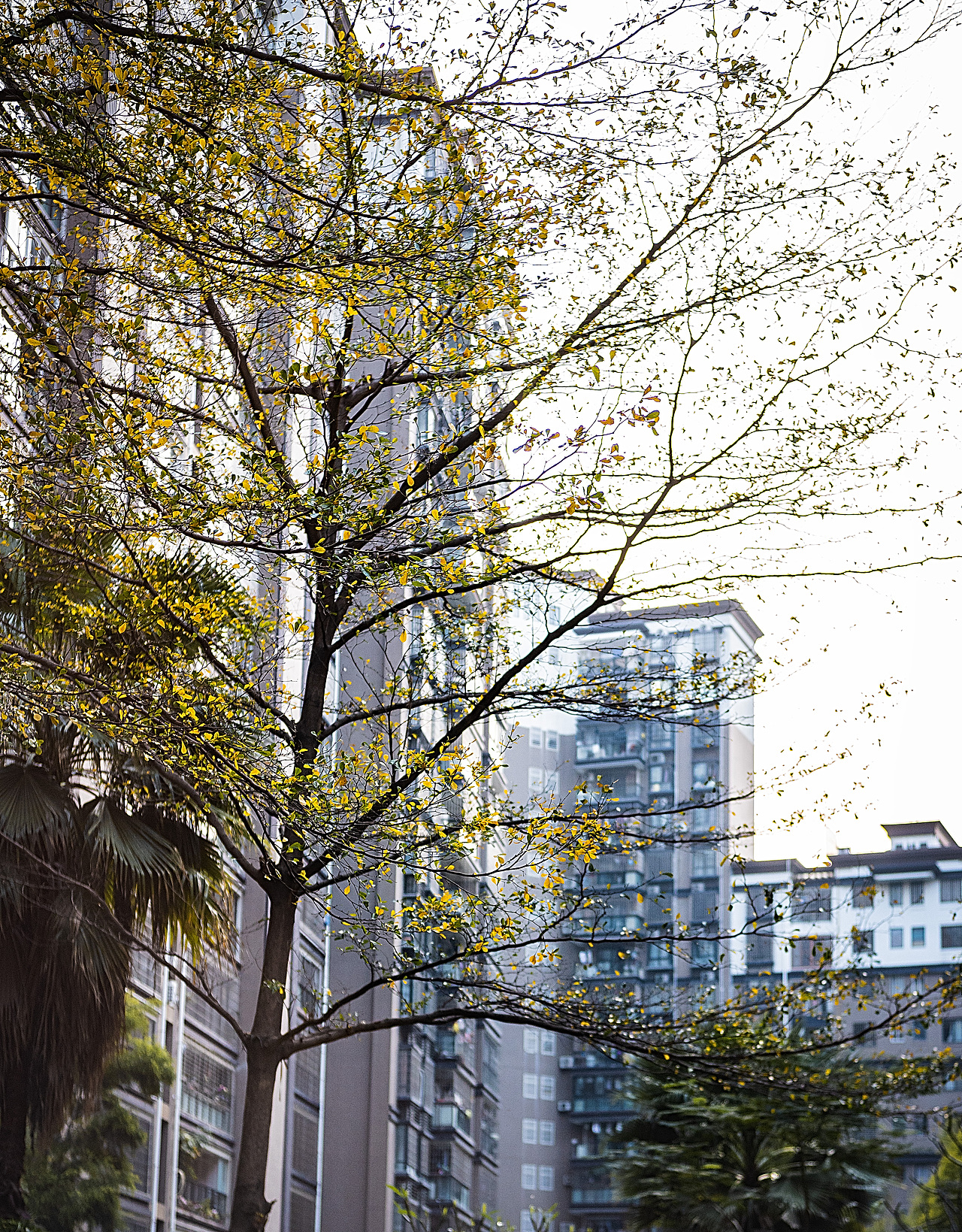 个人三月扫街合集（图ZMjQ5Mzk1MzY4） - 人文/纪实摄影 - 站酷设计师想念与挂念原创素材 - 站酷ZCOOL