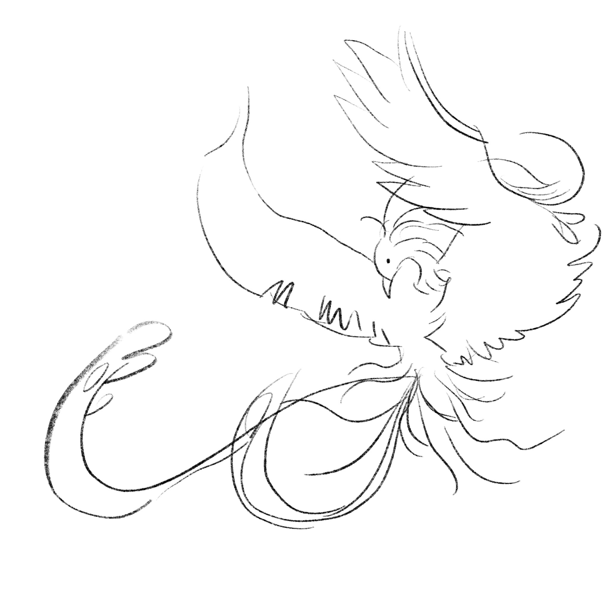 地产项目插画:泰丰-凤凰源网红楼盘主视觉设计