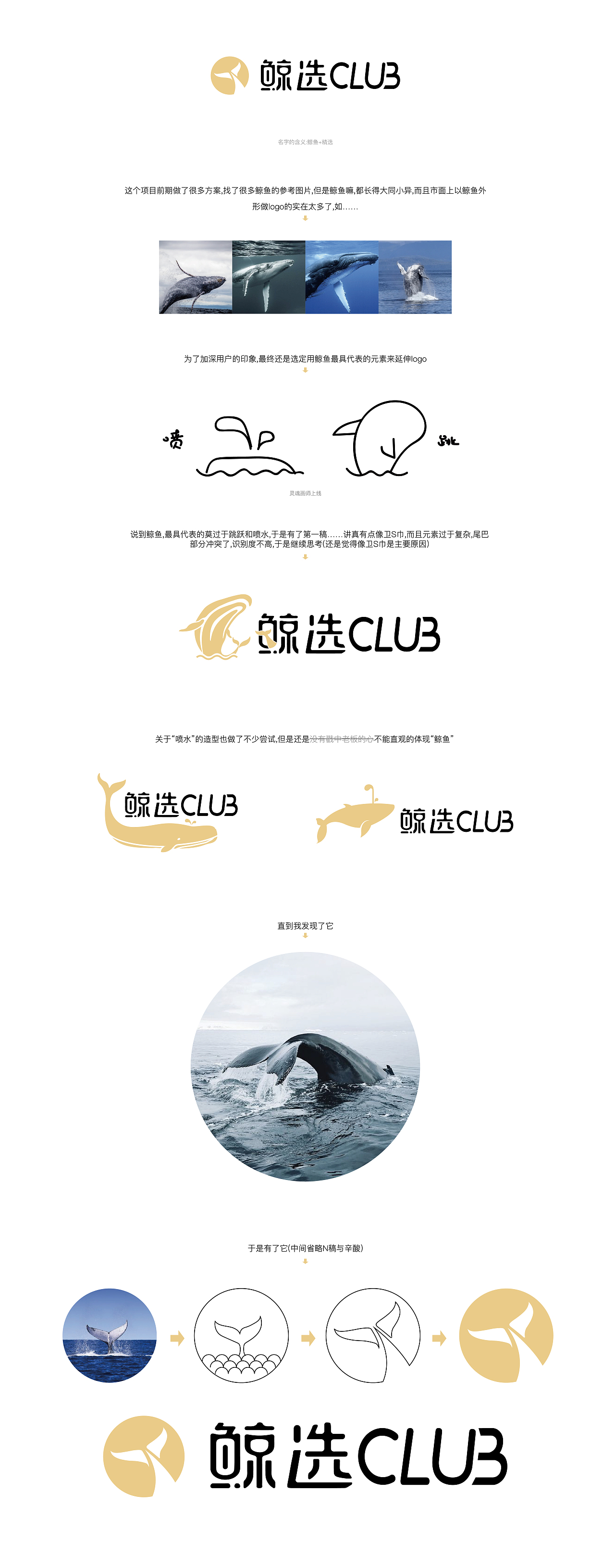 鲸选CLUB的LOGO（图ZMjA4MTk1MzQ0） - 品牌 - 站酷设计师pannypg原创素材 - 站酷ZCOOL