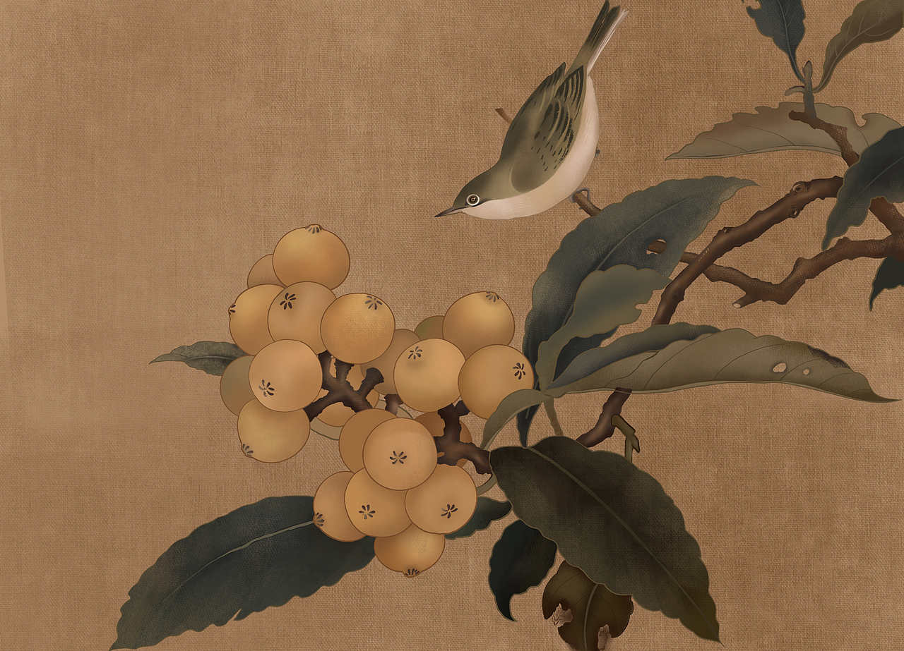 《枇杷绣羽图》临摹