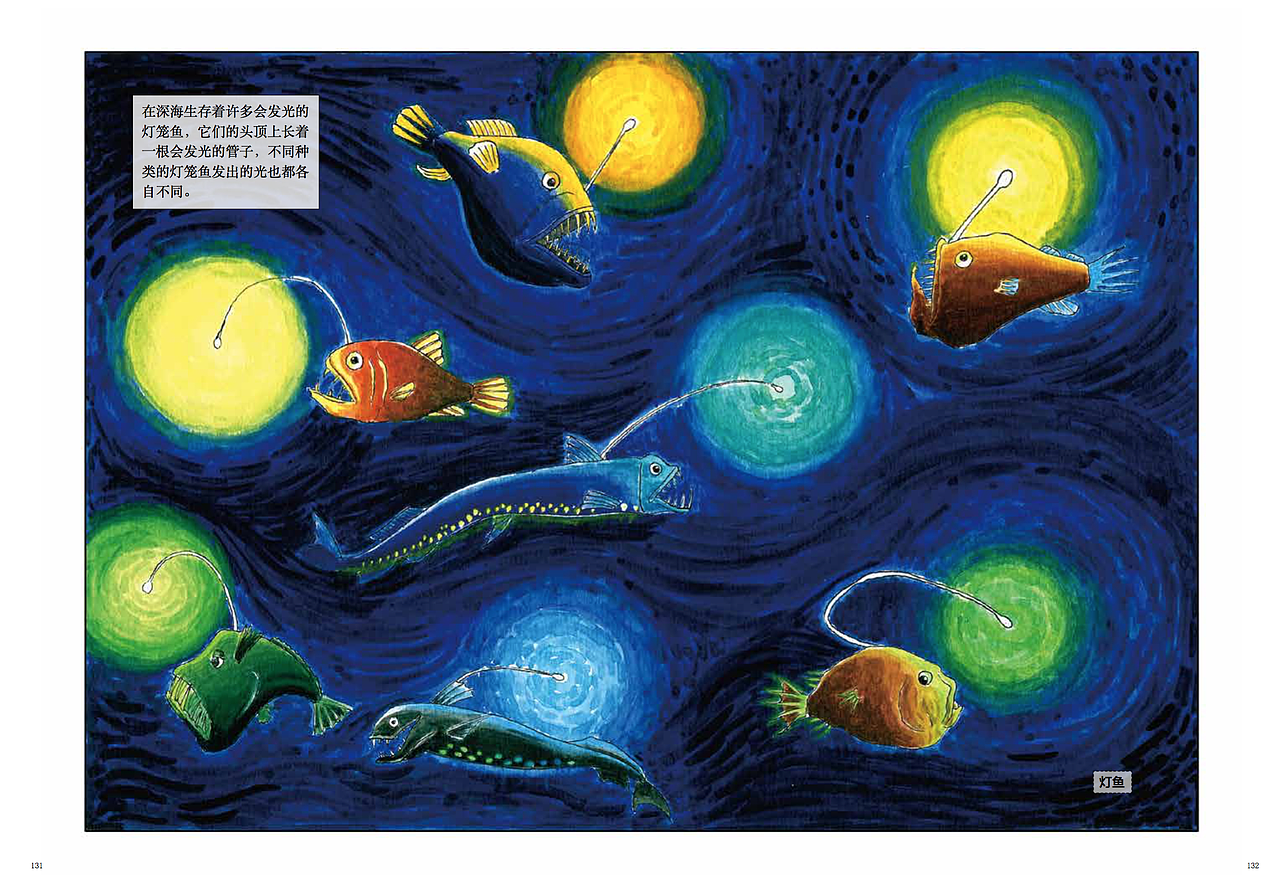 绘本海洋动物插画