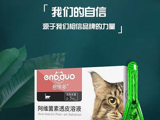 医药详情页