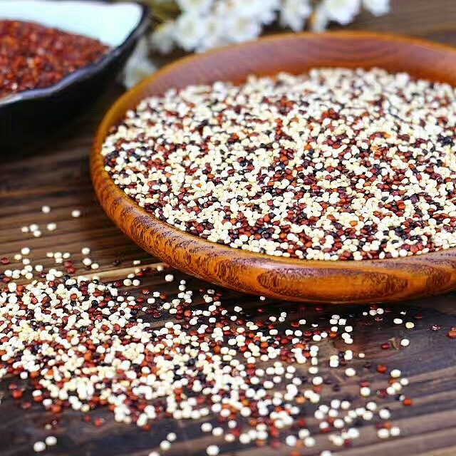 青藏青藜 - 藜麦